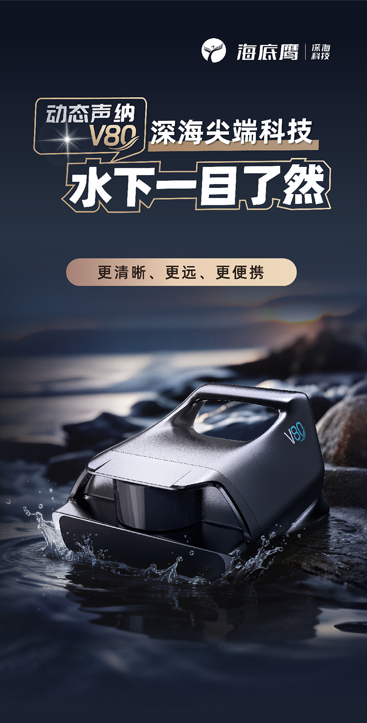 描述