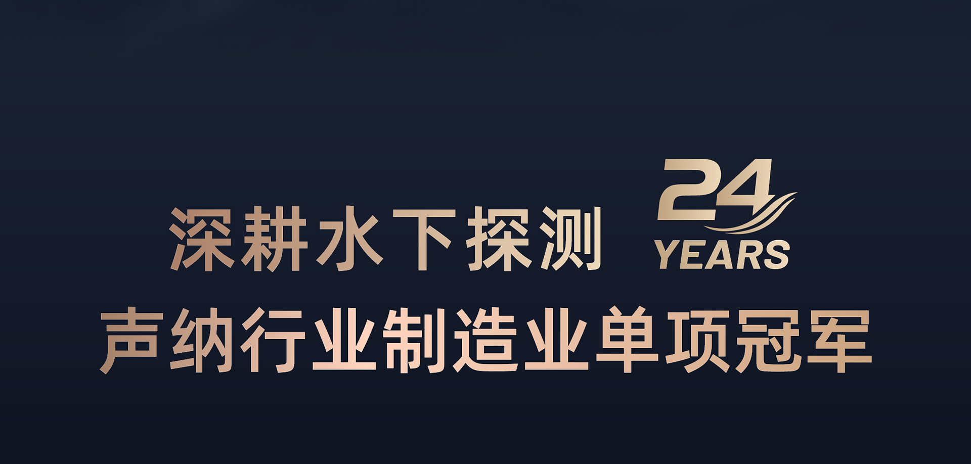 描述