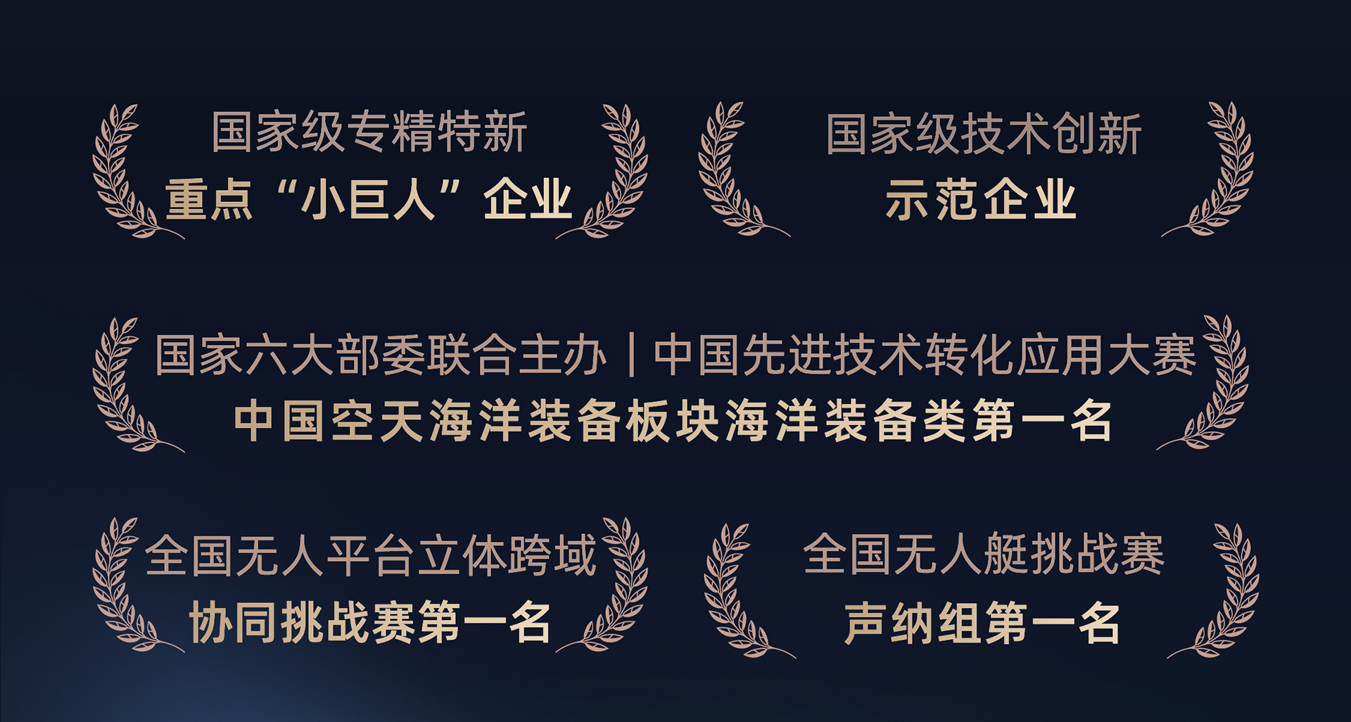描述